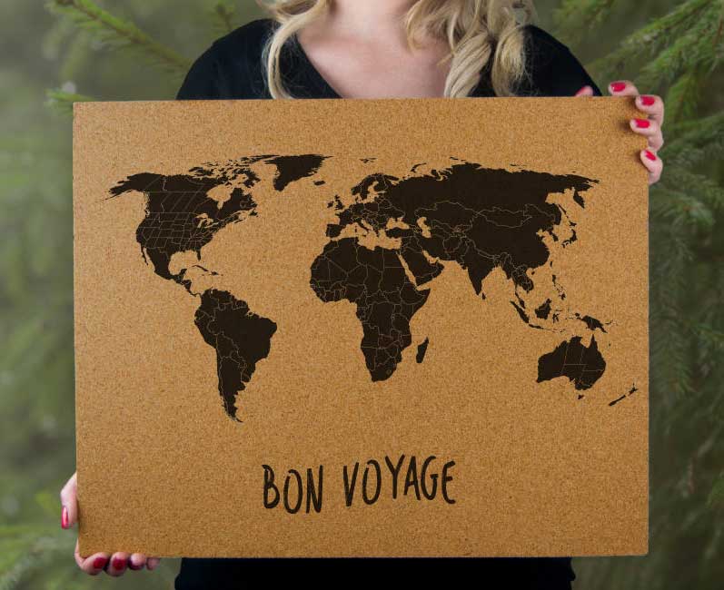 Bon Voyage Cork Push Pin Travel Map