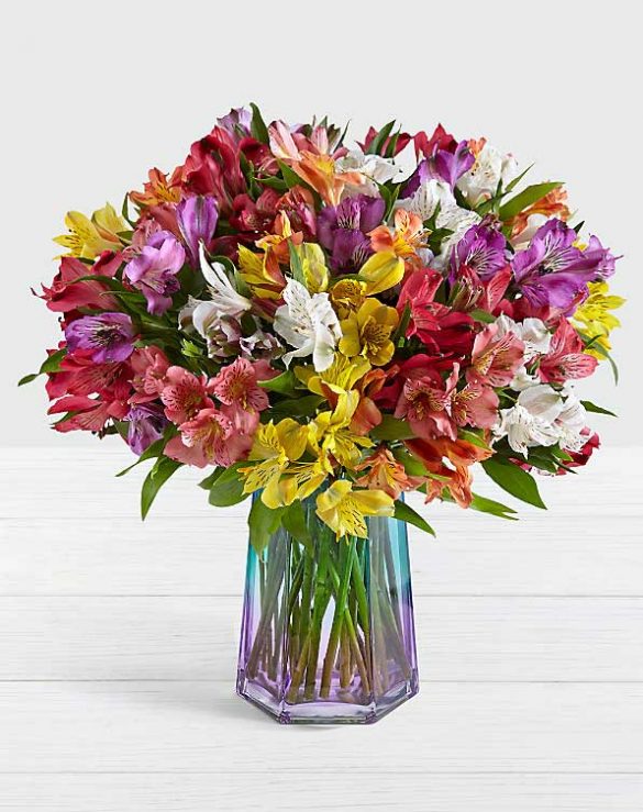 Peruvian Lilies