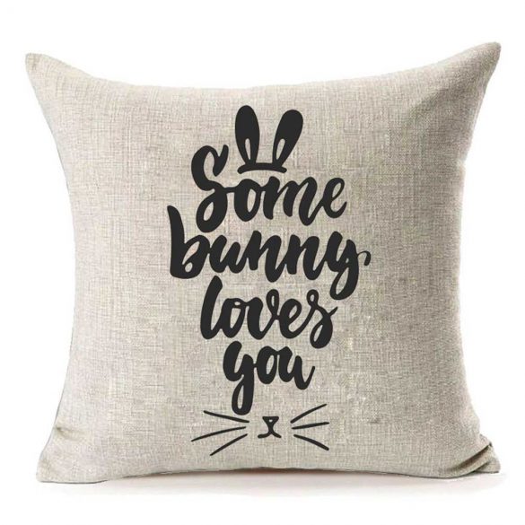 Some Bunny Loves You Cushion